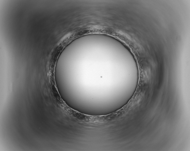 X0000087631254200705101021