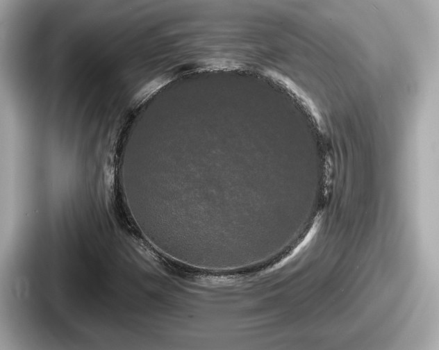 X0000087631257200705101020