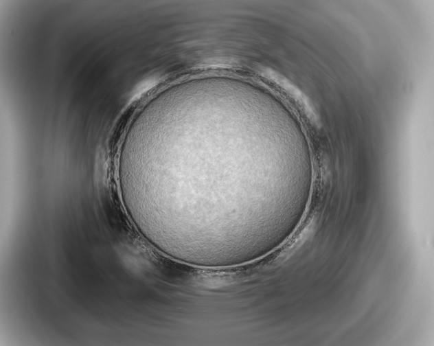 X0000087631258200705101020