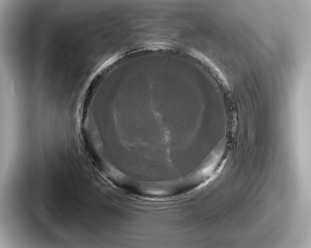 X0000087631261200705101020