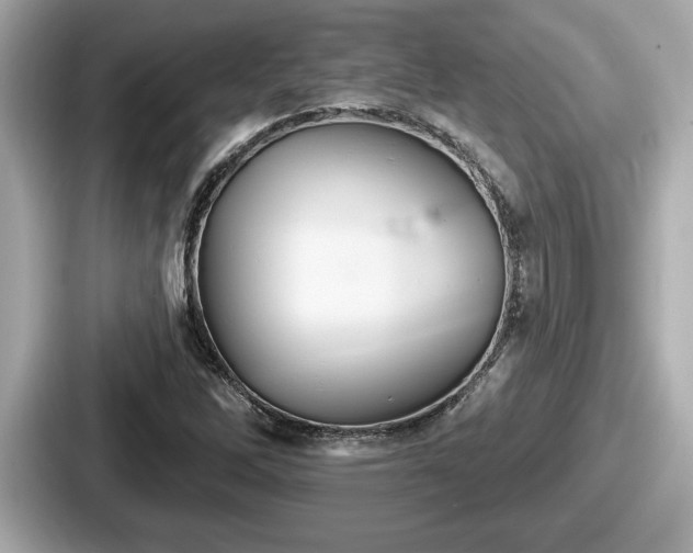 X0000087631262200705101020