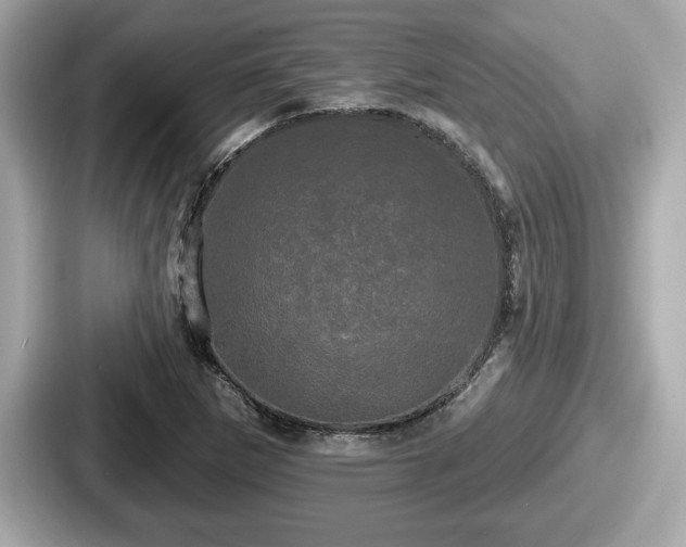 X0000087631265200705101020