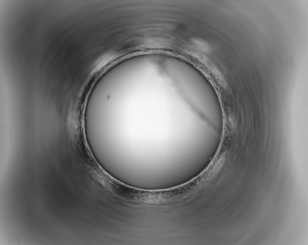 X0000087631266200705101020