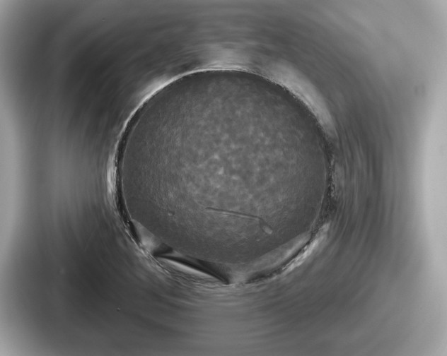 X0000087631268200705101020