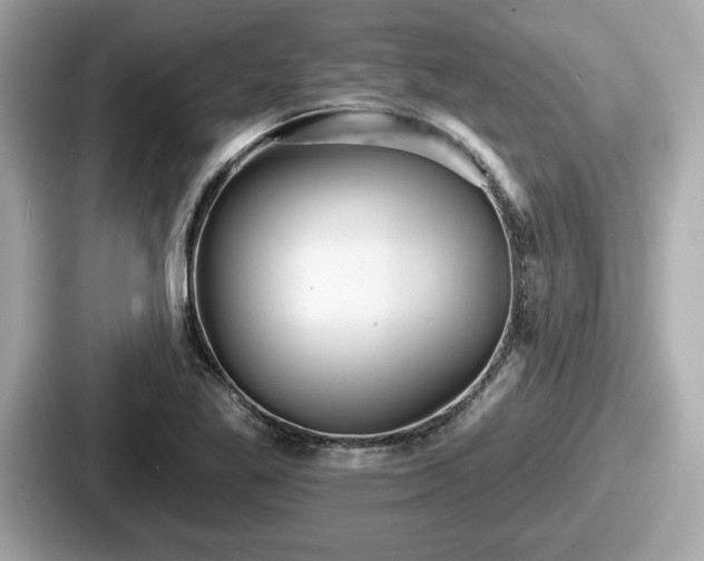 X0000087631269200705101020