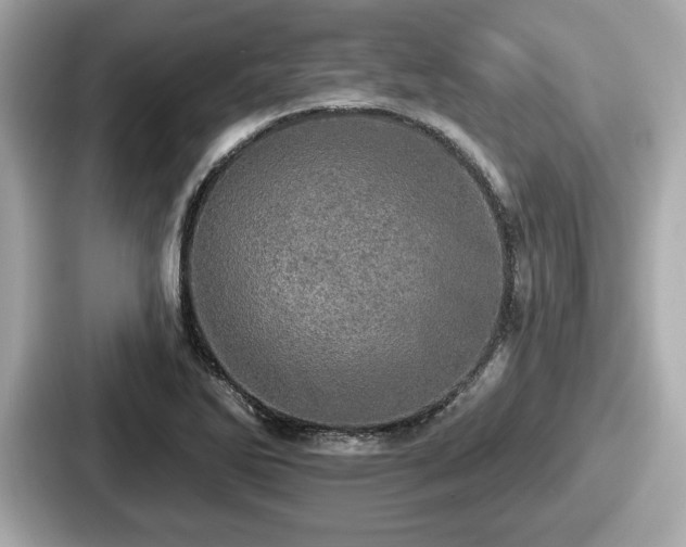 X0000087631270200705101020