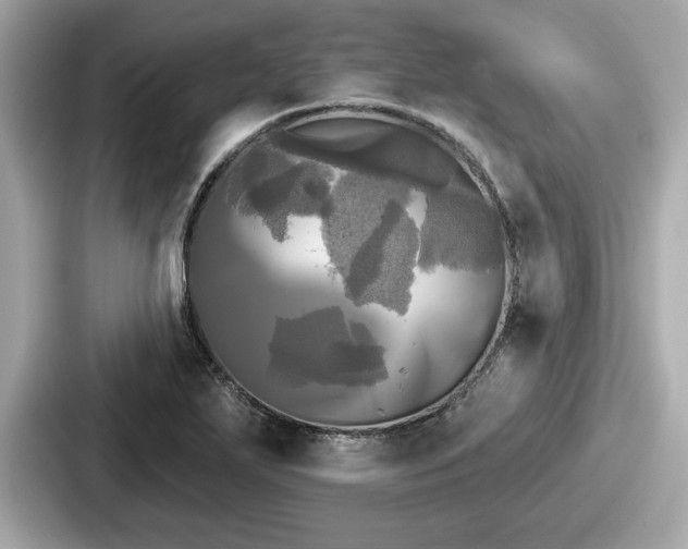 X0000087631271200705101020