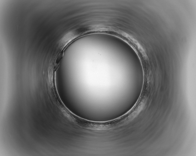 X0000087631273200705101020