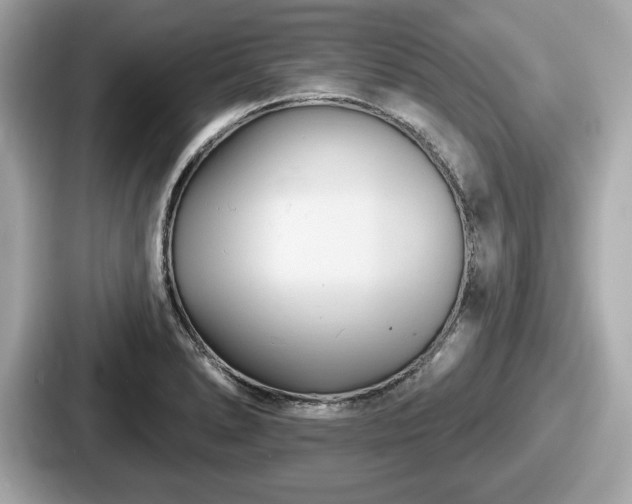 X0000087631278200705101020