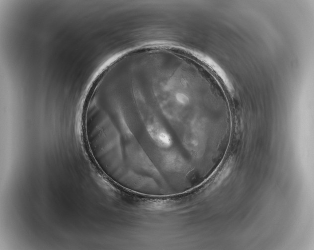 X0000087631279200705101020