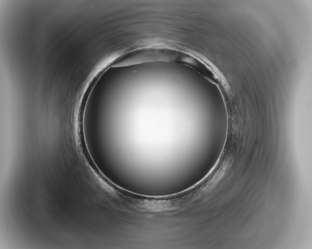 X0000087631285200705101020