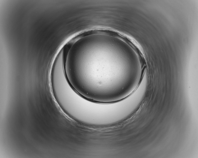 X0000087631287200705101020