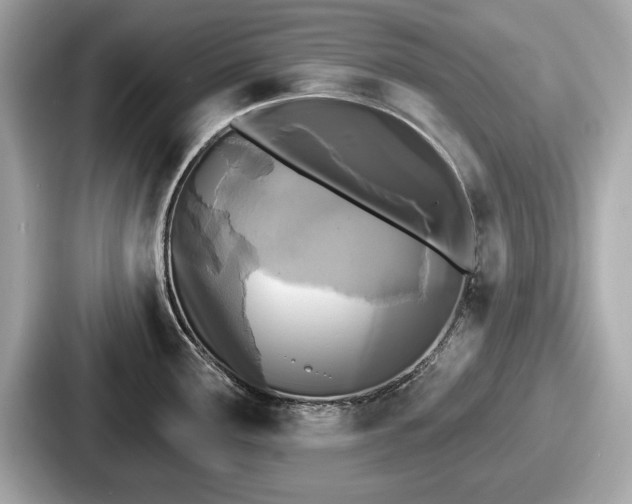 X0000087631291200705101020