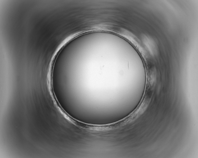 X0000087631294200705101020