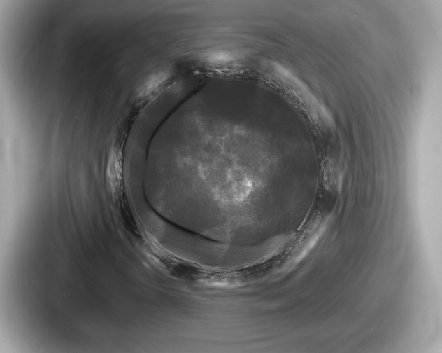 X0000087631298200705101019