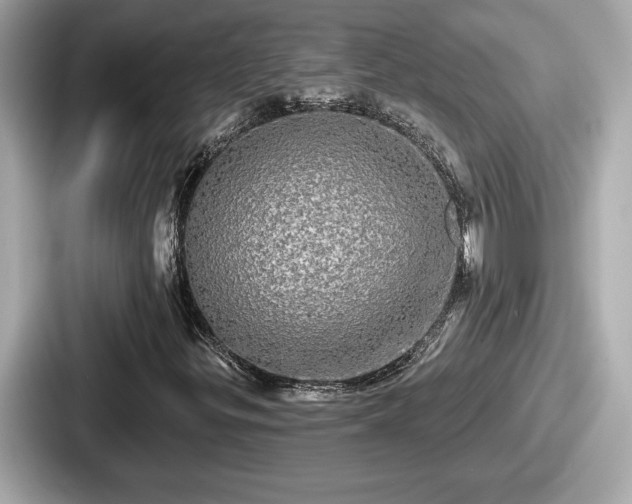 X0000087631299200705101019