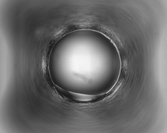 X0000087631300200705101019