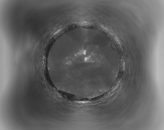 X0000087631301200705101019