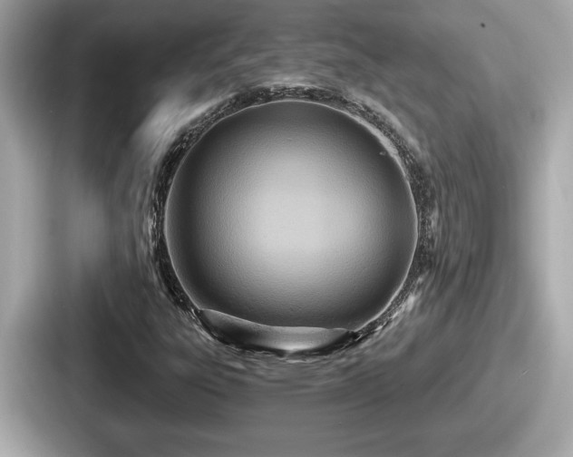 X0000087631303200705101019