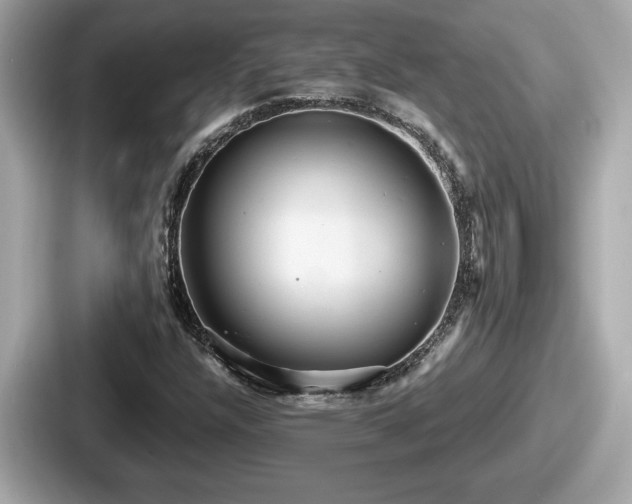 X0000087631304200705101019