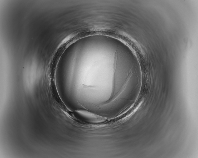 X0000087631306200705101019