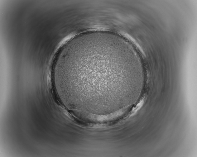 X0000087631307200705101019