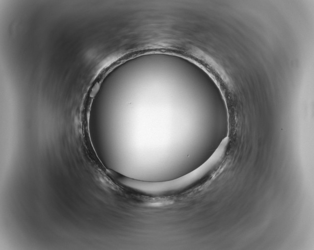 X0000087631308200705101019