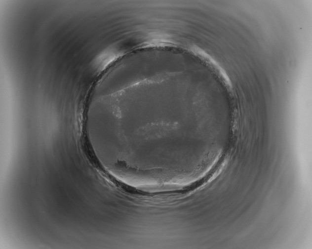 X0000087631313200705101020