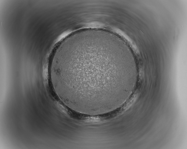 X0000087631315200705101020