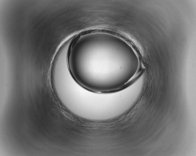 X0000087631316200705101020