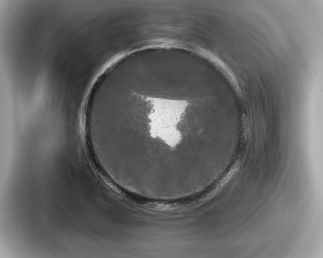 X0000087631318200705101020