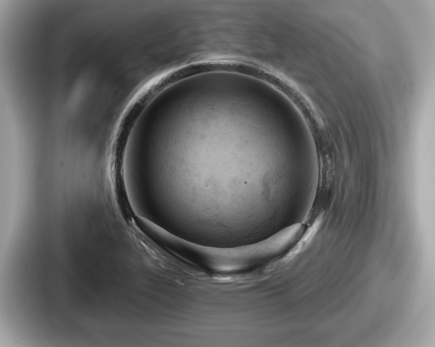 X0000087631319200705101020