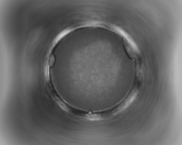 X0000087631320200705101020