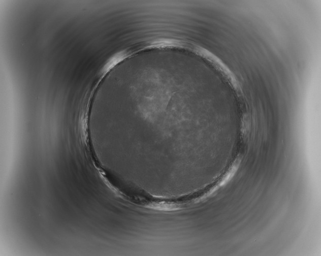 X0000087631321200705101020