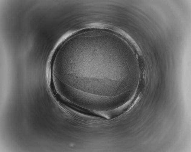 X0000087631323200705101020