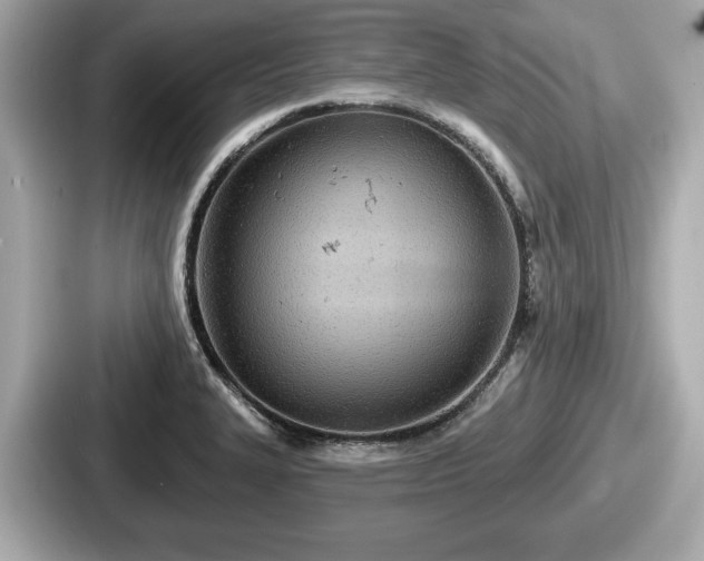 X0000087631327200705101020