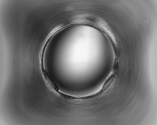 X0000087631330200705101020