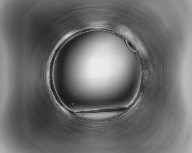 X0000087631331200705101020