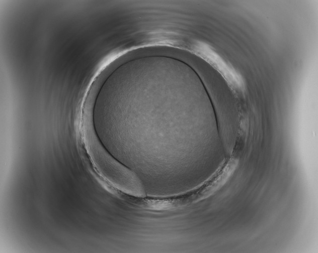 X0000087631332200705101020