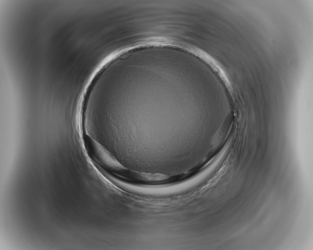 X0000087631334200705101020