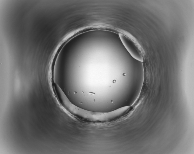 X0000087631335200705101020