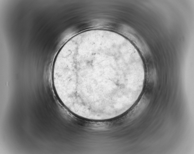 X0000087631338200705101020