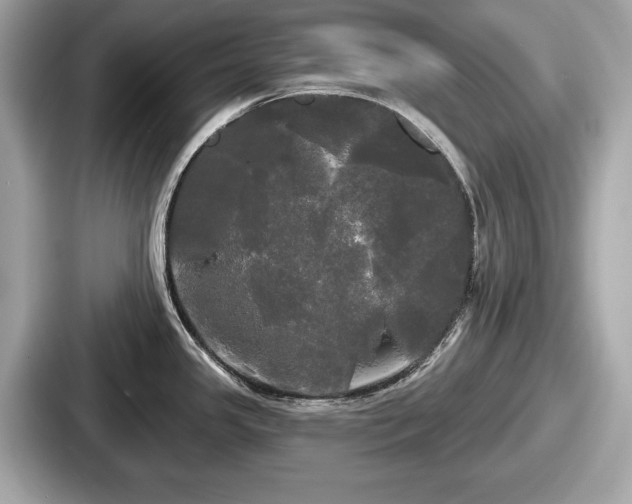 X0000087631341200705101020