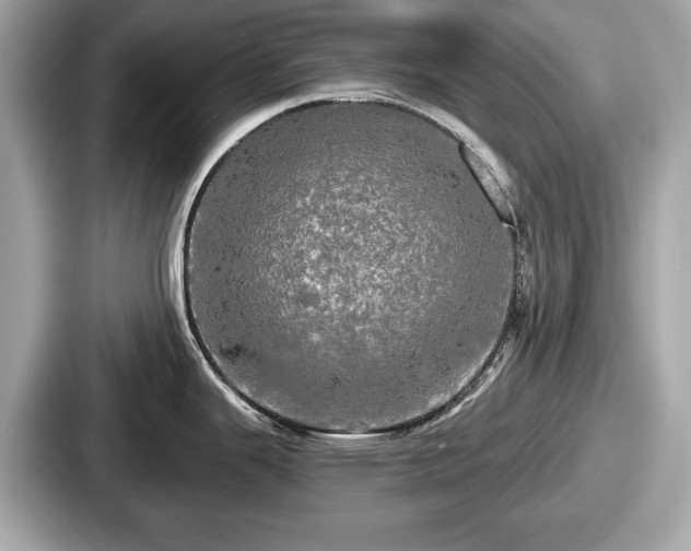 X0000087631343200705101020