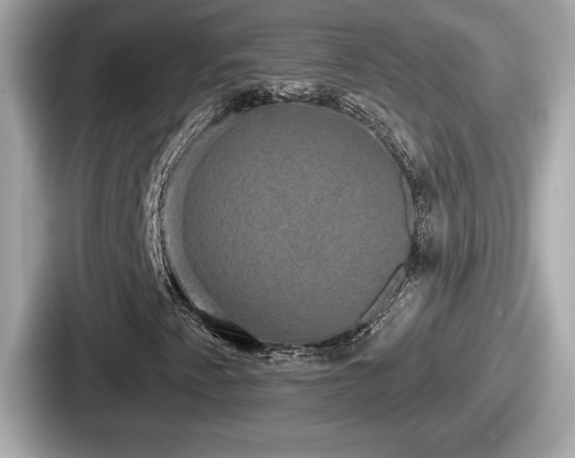 X0000087631345200705101019