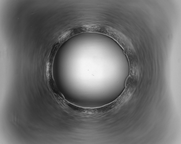 X0000087631346200705101019