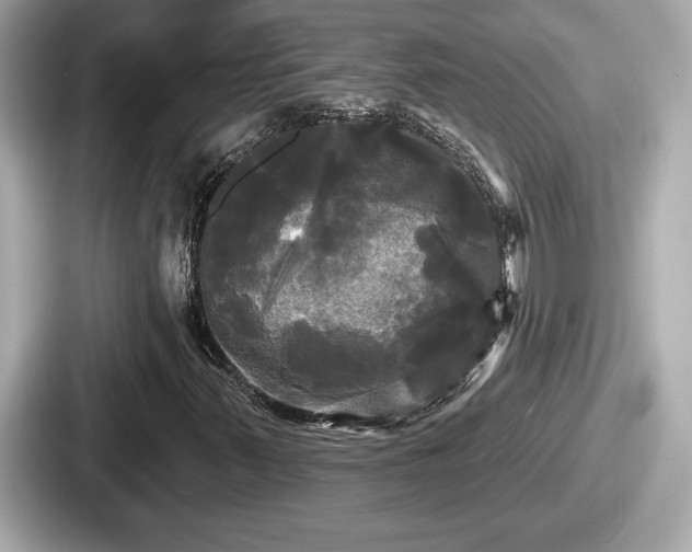 X0000087631347200705101019