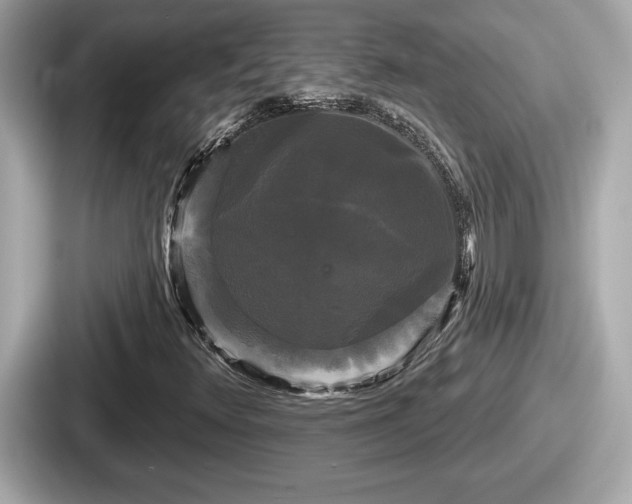 X0000087631348200705101019