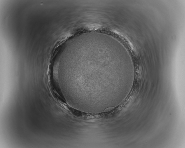 X0000087631349200705101019