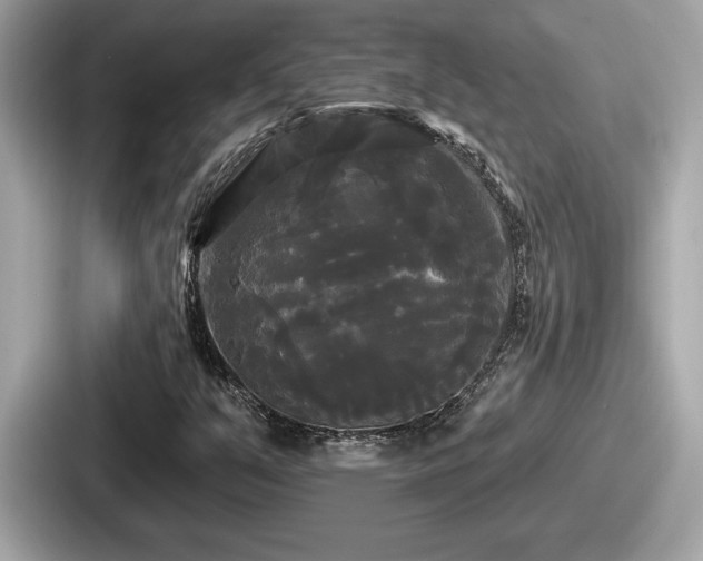 X0000087631351200705101019